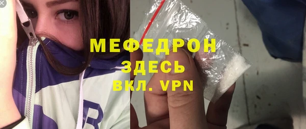 сатива Новозыбков