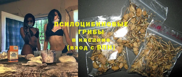 эйфоретик Аркадак