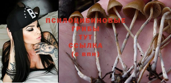 эйфоретик Аркадак