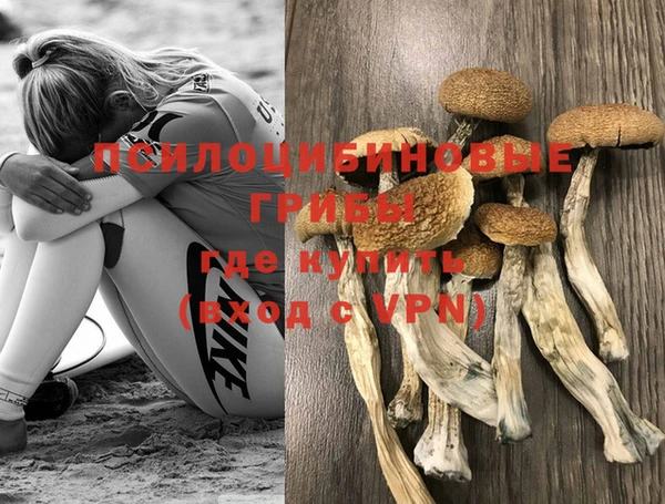 синтетический гашиш Арсеньев